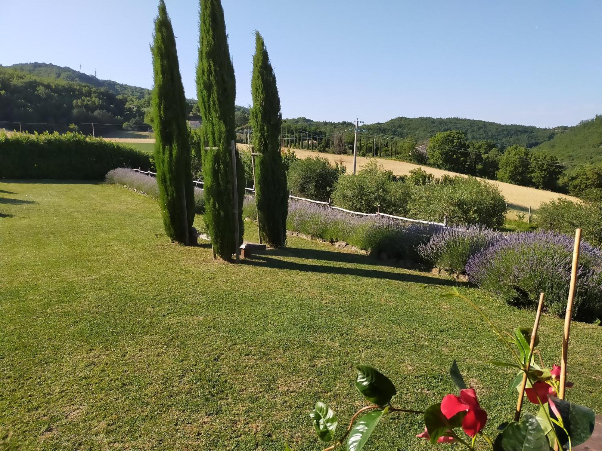 Suite Luna Bianca Assisi Eksteriør bilde